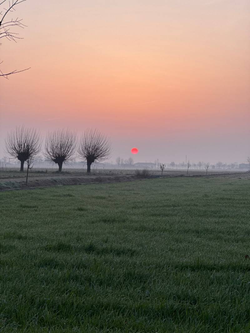 Fotosegnalazione di Travagliato