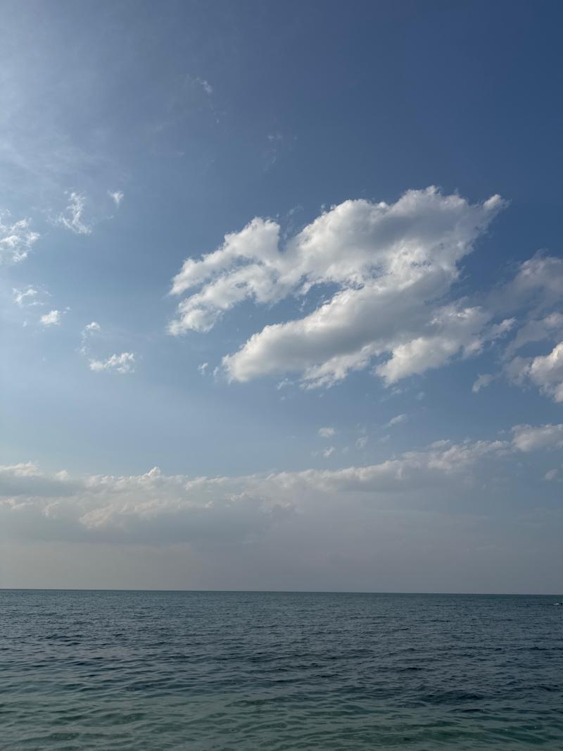 Fotosegnalazione di Bisceglie
