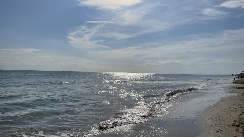 giornata belliss