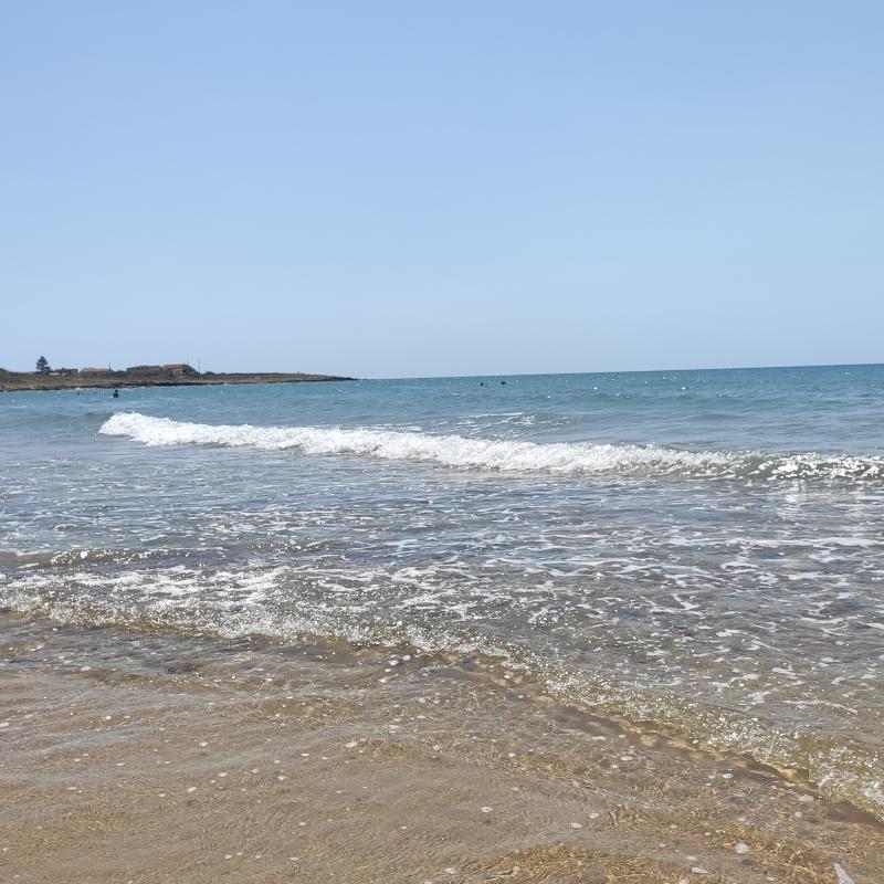 Costa di carro
