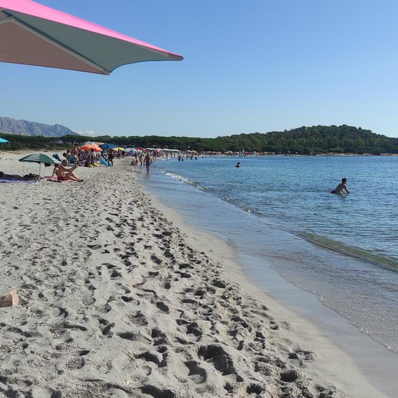 Fotosegnalazione di San teodoro-ss