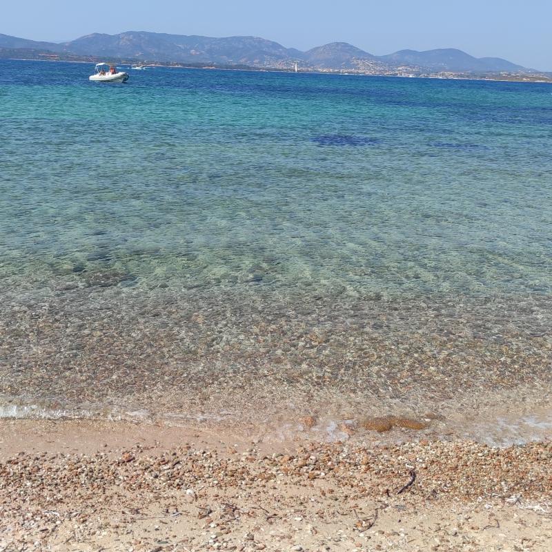 Fotosegnalazione di Olbia litorale sud