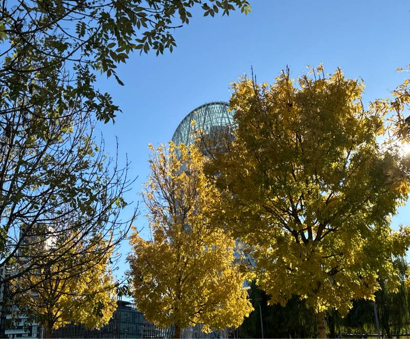 Fotosegnalazione di Milano isola
