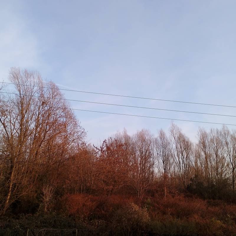 Fotosegnalazione di Gemonio