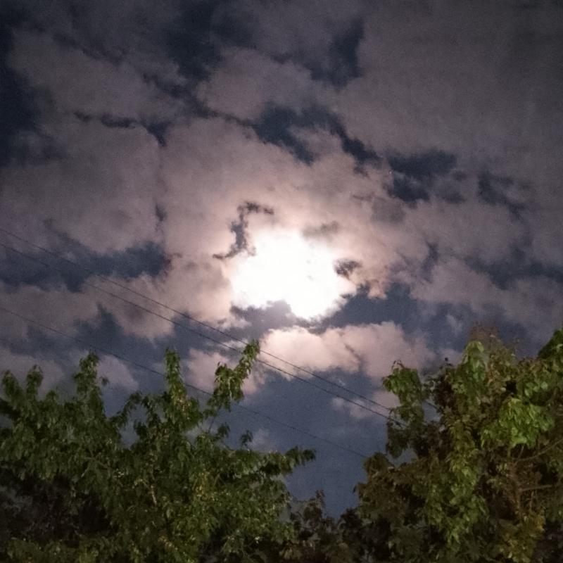Fotosegnalazione di Gemonio