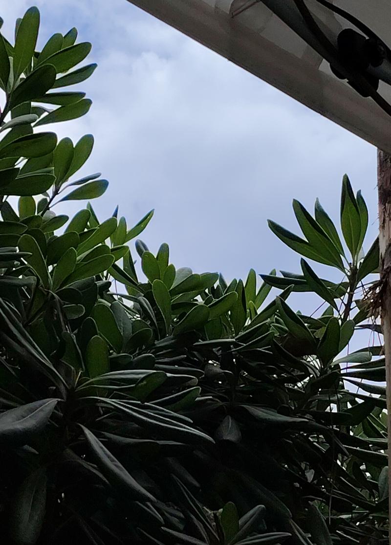 giornata cosi' cosi'