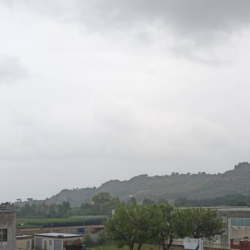 Fotosegnalazione di Cupra marittima