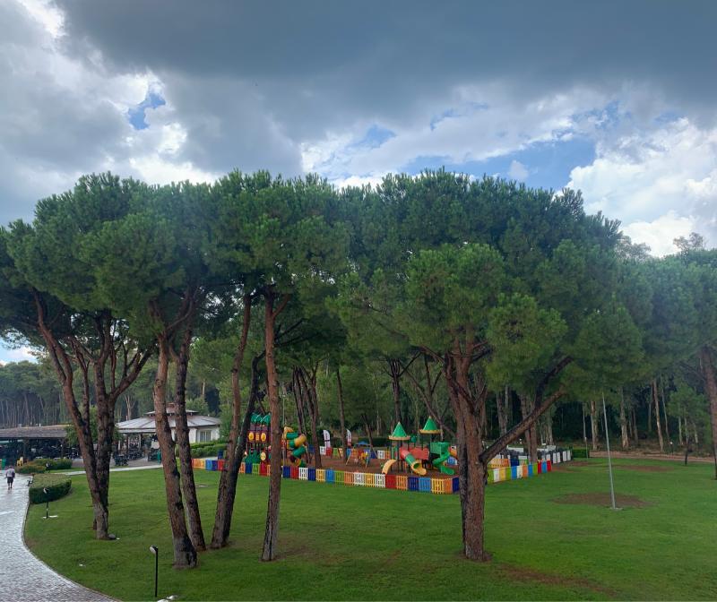 Fotosegnalazione di Pisticci