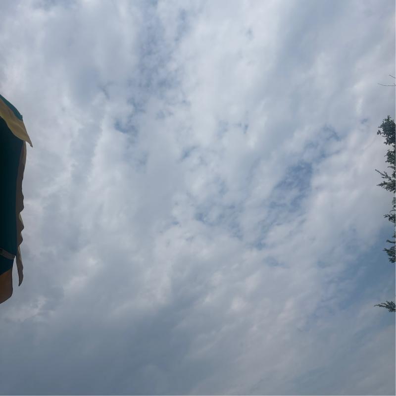 Fotosegnalazione di Porto cesareo