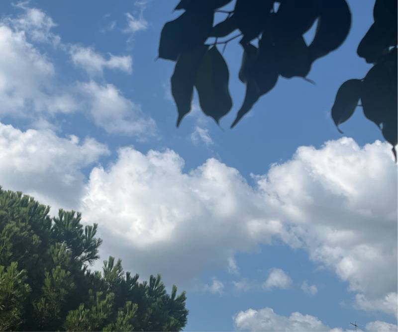 Fotosegnalazione di Su planu