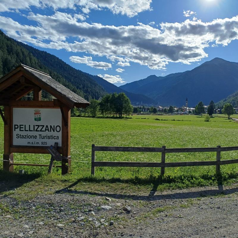 Pellizzano