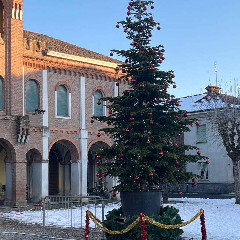 Fotosegnalazione di Sezzadio