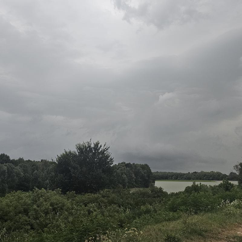 Fotosegnalazione di Papozze
