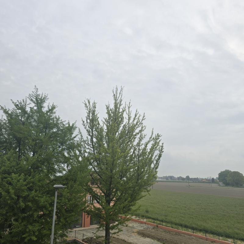 Fresco e nuvoloso nella bassa