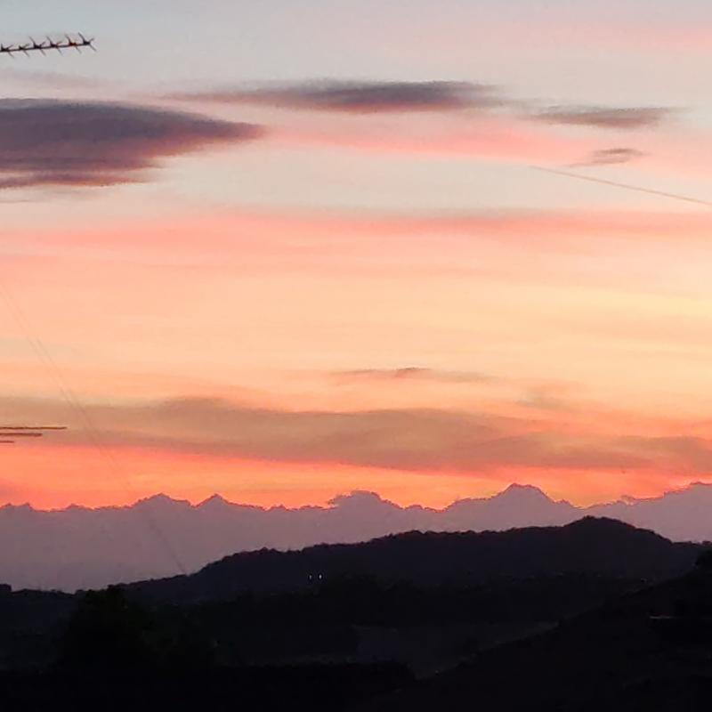 Fotosegnalazione di Pontestura