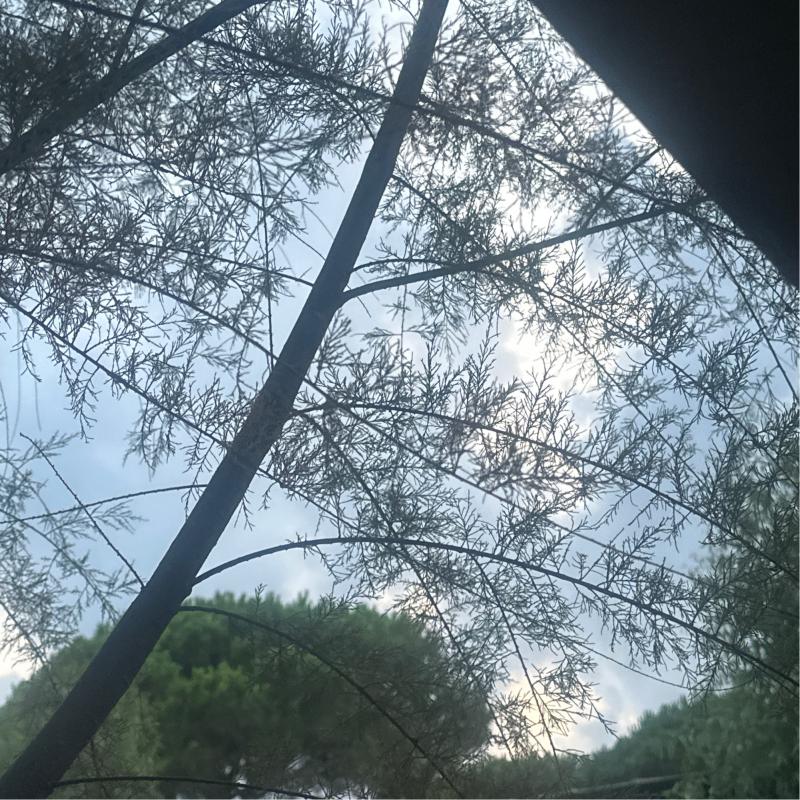 Fotosegnalazione di Casal velino