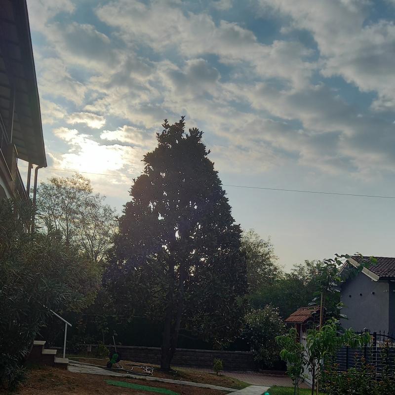 Fotosegnalazione di Rivalta di torino