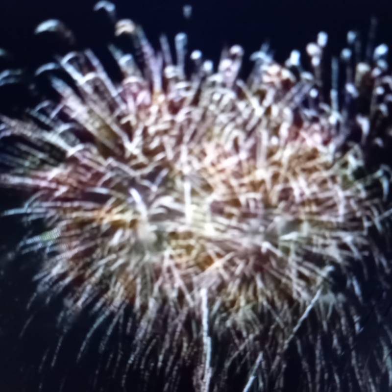 Festa della madonna
