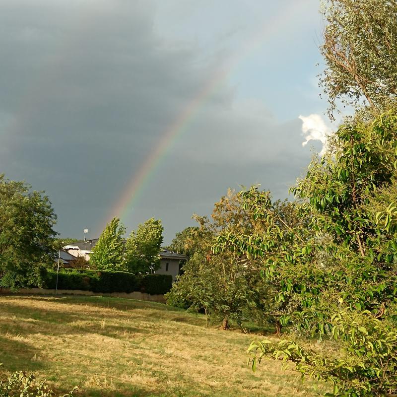 Fotosegnalazione di Rivalta di torino
