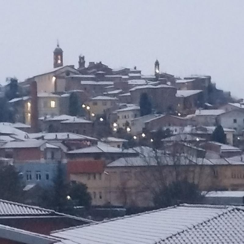Fotosegnalazione di Torrita di siena