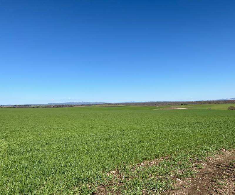 Fotosegnalazione di Tuscania