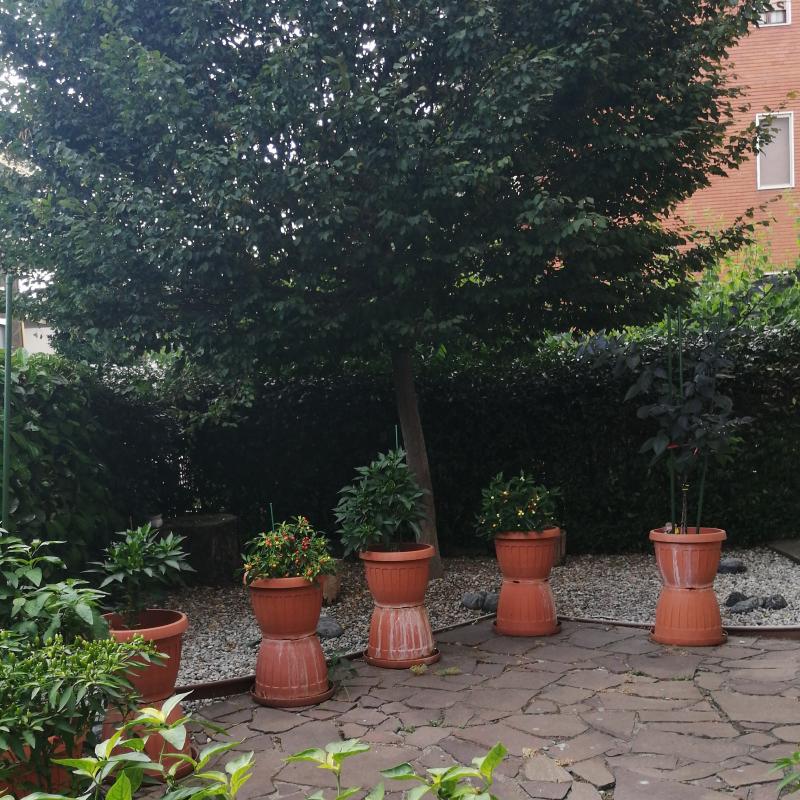 Fotosegnalazione di Cremona centro urbano