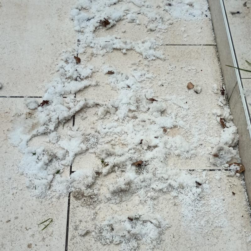 Un po' di neve tonda