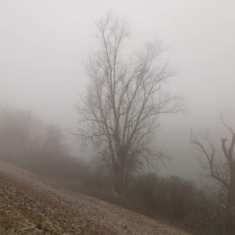 primo mattino