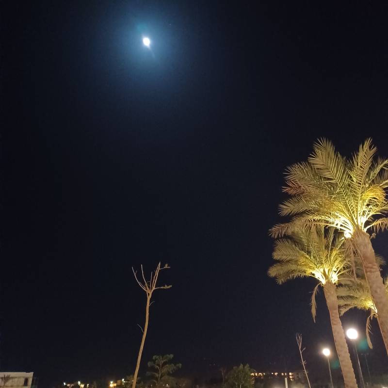 Fotosegnalazione di Marsa alam