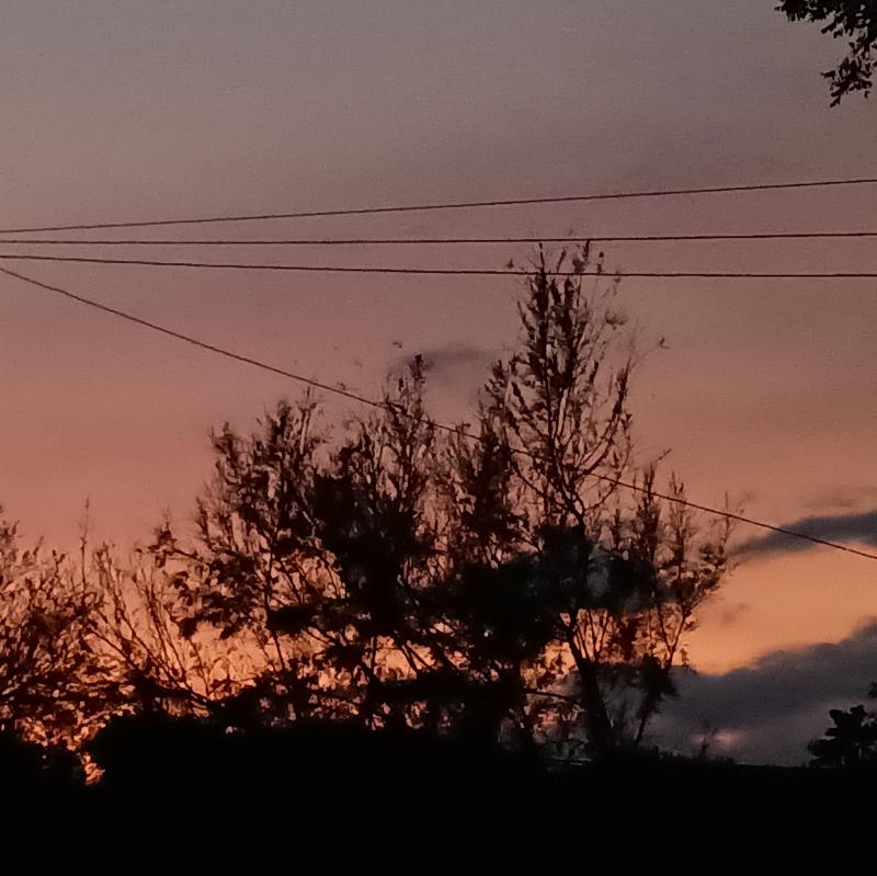 Fotosegnalazione di Cerviavventura
