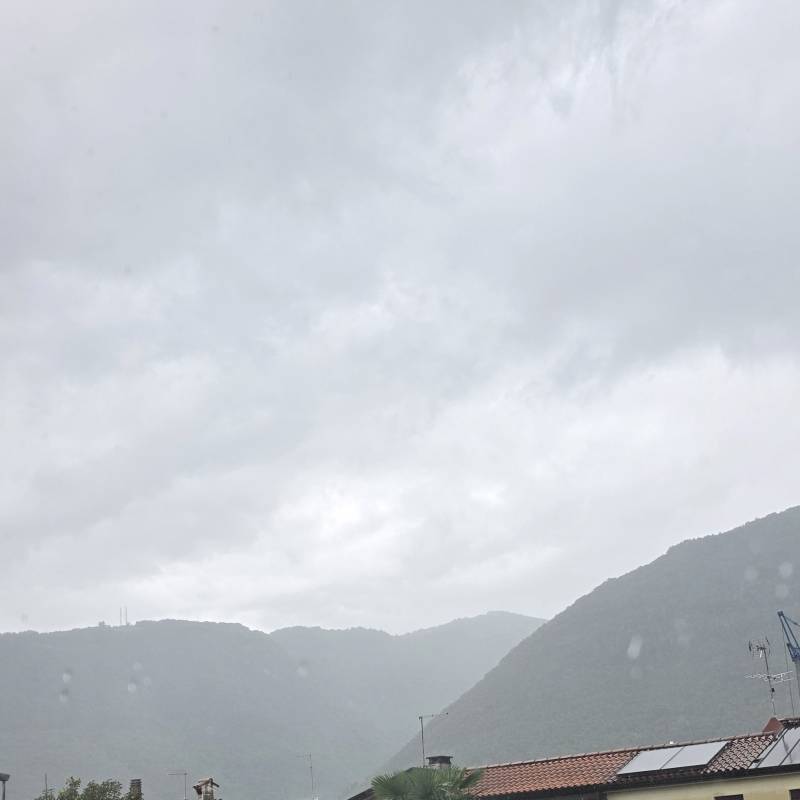 Fotosegnalazione di Borso del grappa