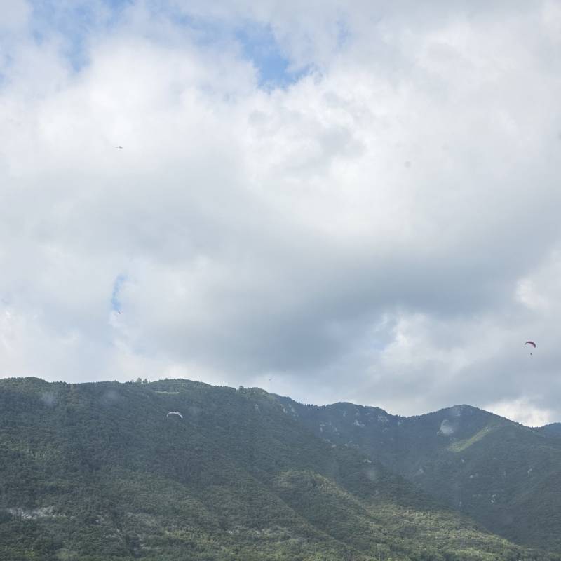 Fotosegnalazione di Borso del grappa