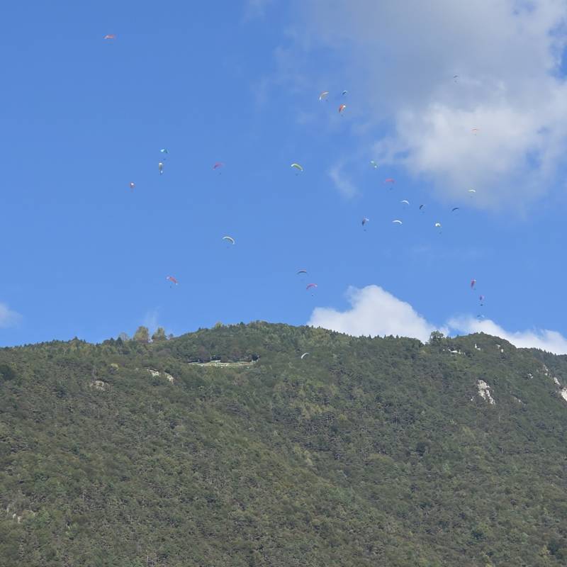 Fotosegnalazione di Borso del grappa