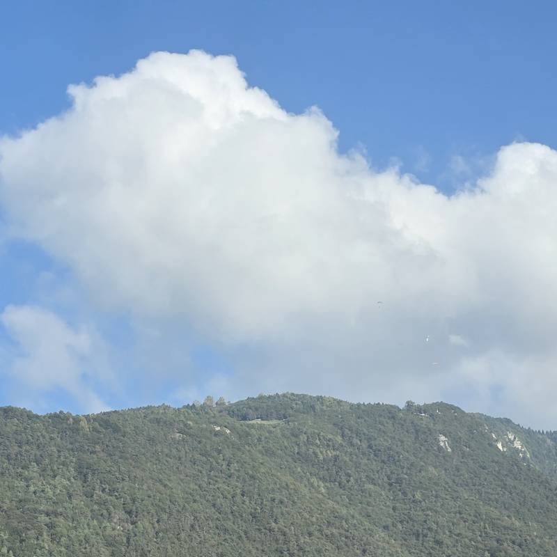 Fotosegnalazione di Borso del grappa