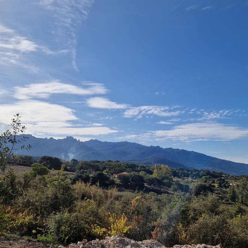 Luras localita' sa pedra niedda