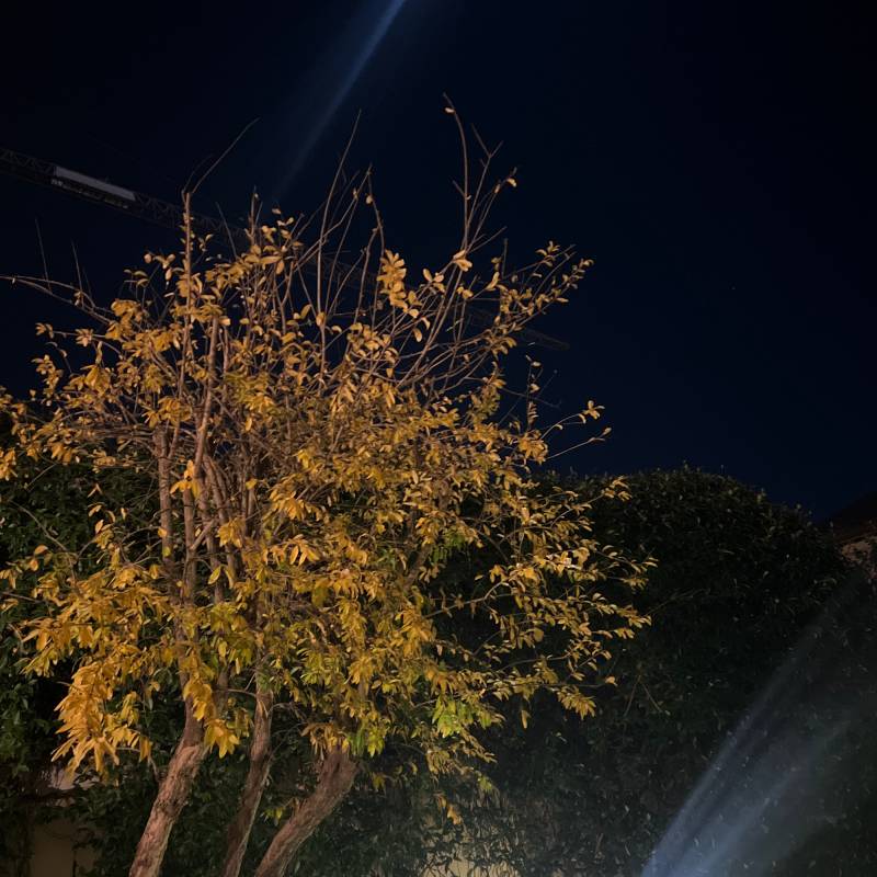 Fotosegnalazione di Moniga del garda