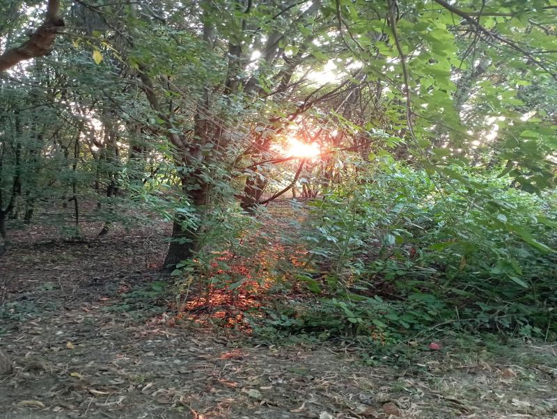 benvenuto raggio di sole
