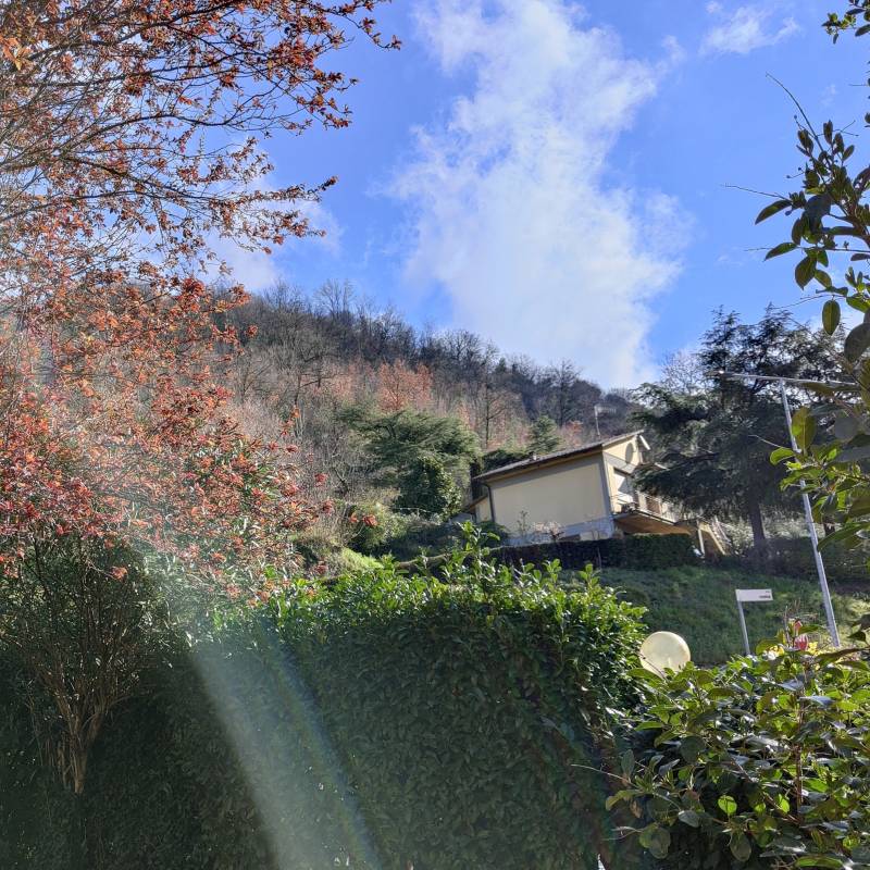 Oggi un po' di sole
