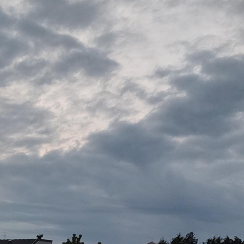 Fotosegnalazione di Appiano gentile