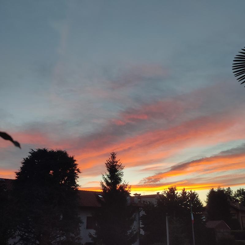 Fotosegnalazione di Appiano gentile