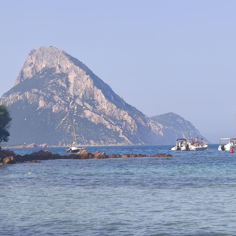 Porto taverna