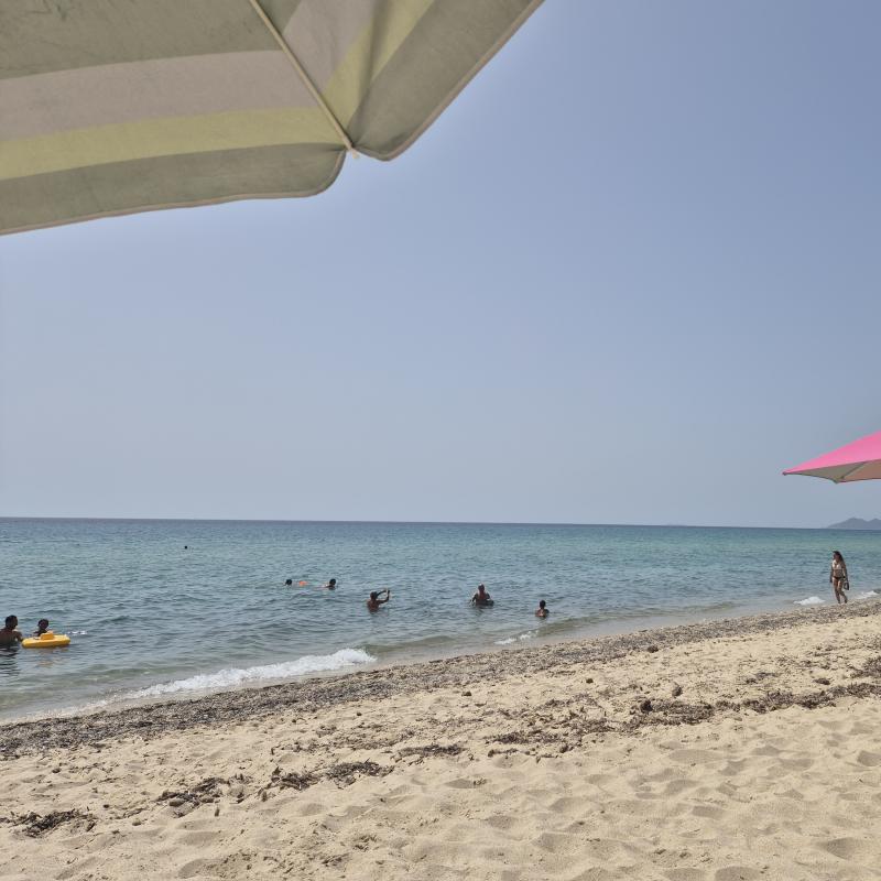 Costa rei