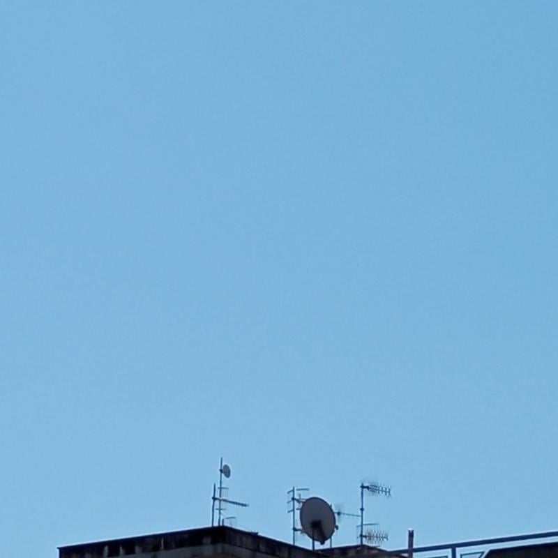 Ottima giornata