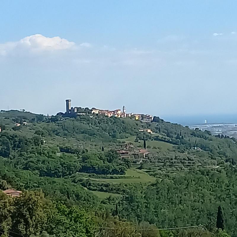 Castelnuovo visto dalla panoramica per fosdinovo