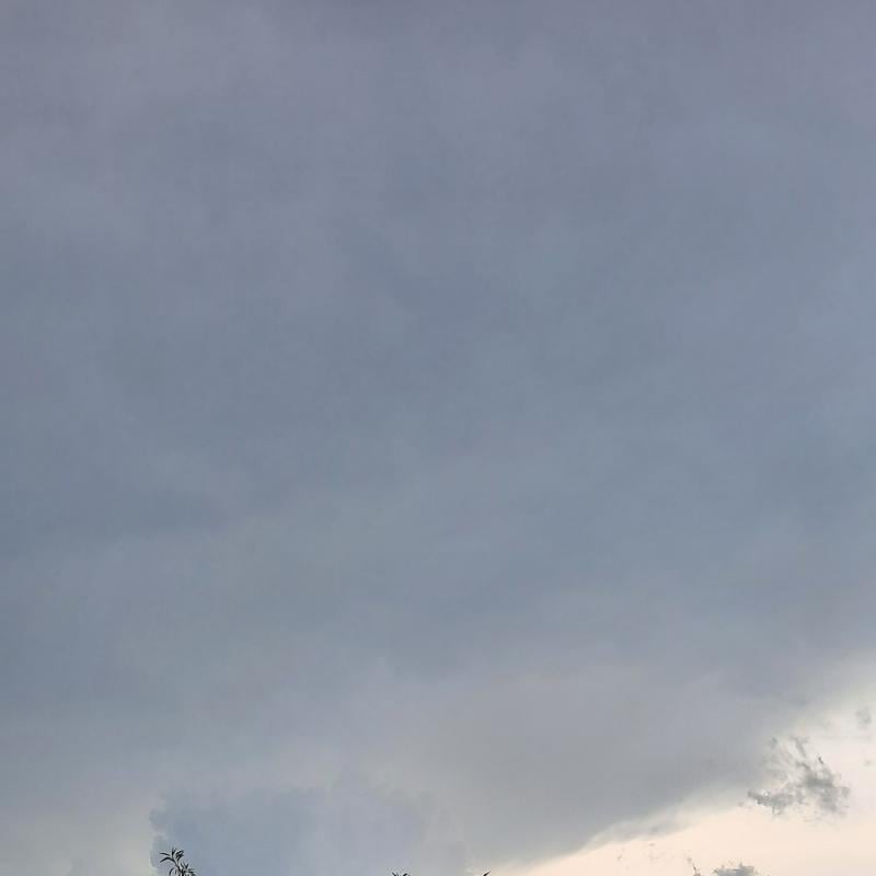 Alberobello