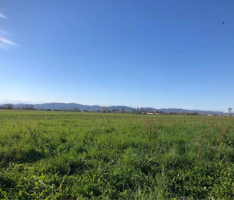 Fotosegnalazione di Chieri