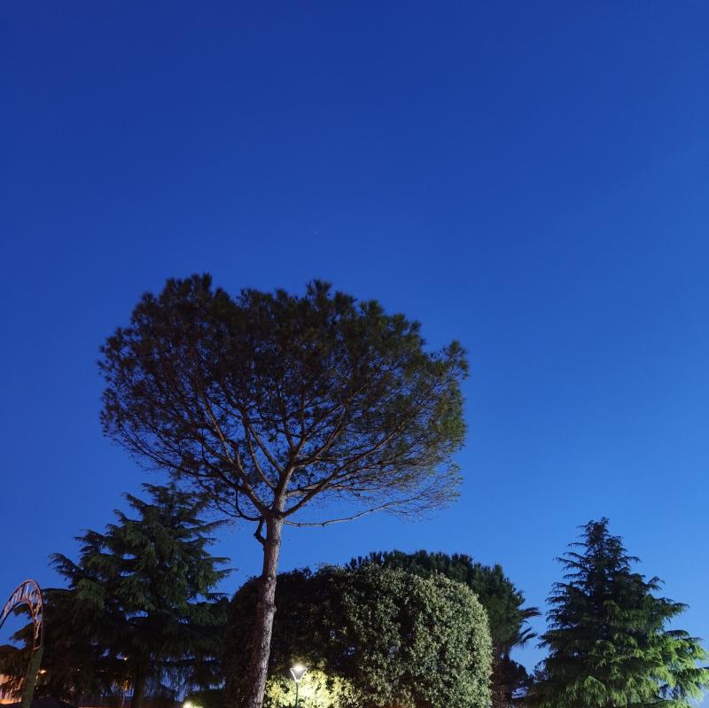 Buongiorno e' buon sabato a tutti