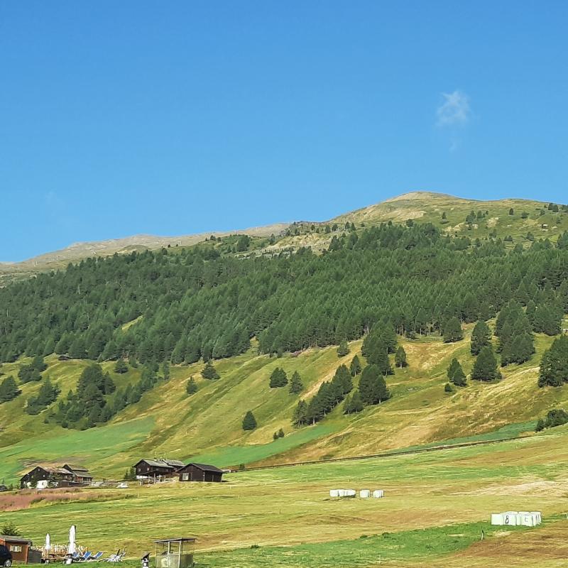 Fotosegnalazione di Livigno