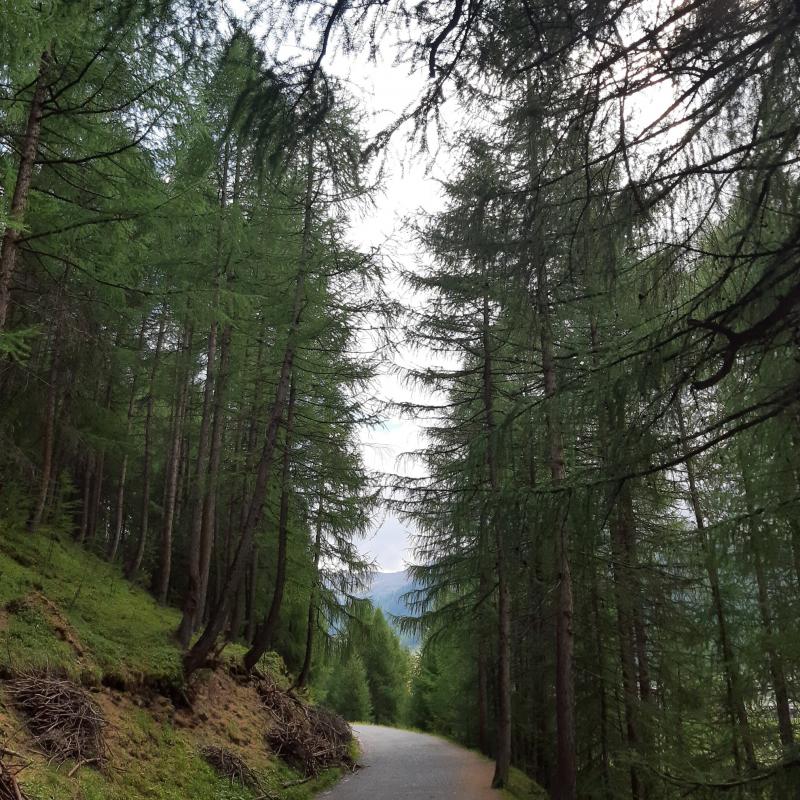 Fotosegnalazione di Livigno
