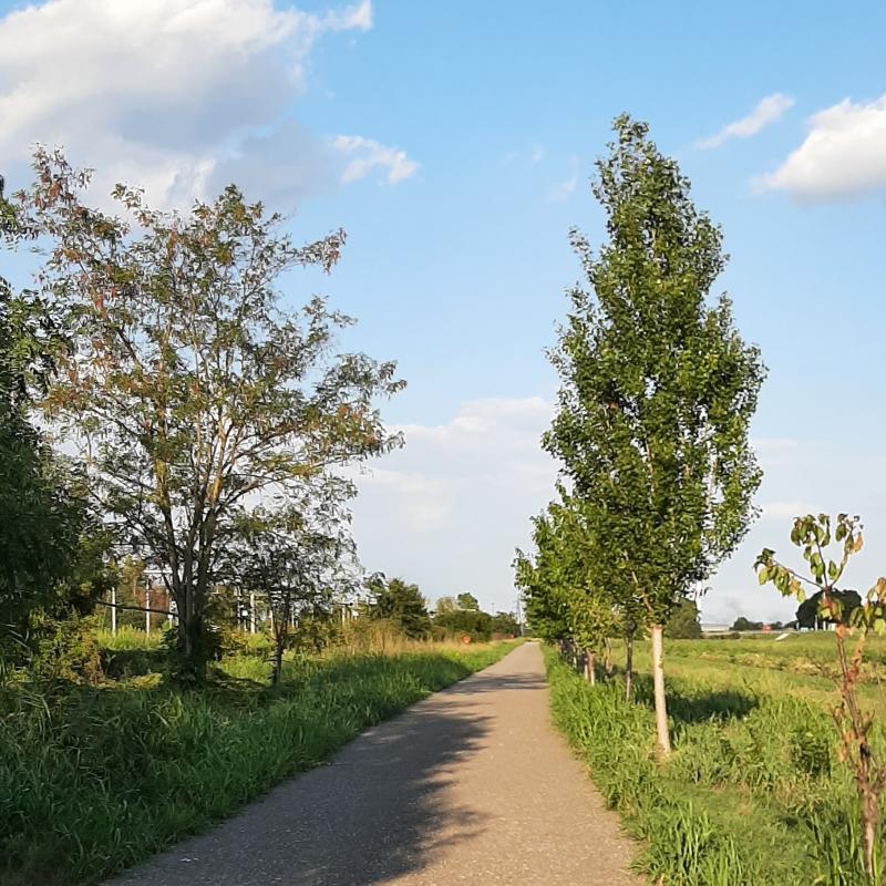 Fotosegnalazione di Pozzuolo martesana